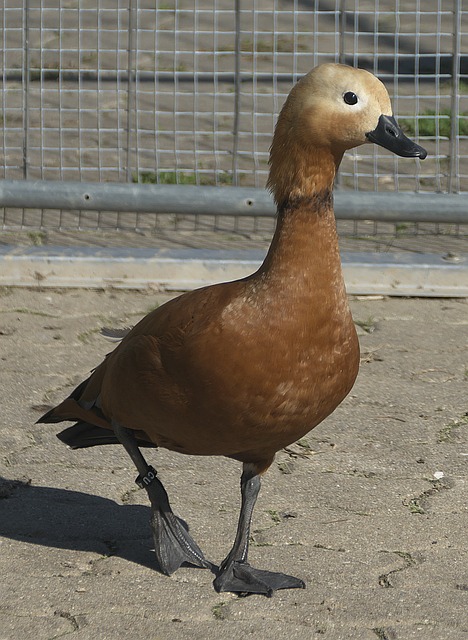 一新
