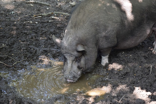 随着俱乐部 随着俱乐部
