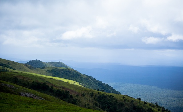 与这些球员 与这些球员