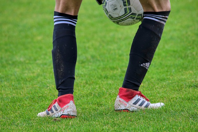 乐部成功引 乐部成功引