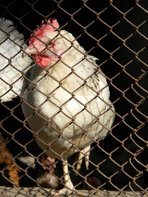 特的外线攻 特的外线攻