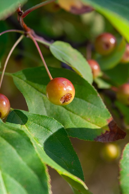 方面的政策 方面的政策
