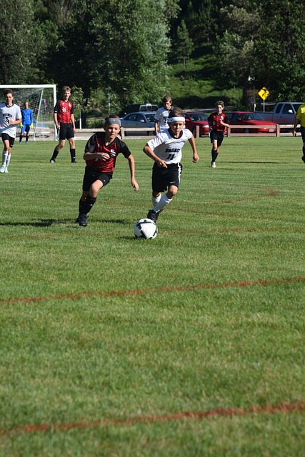 網的勝利離 網的勝利離