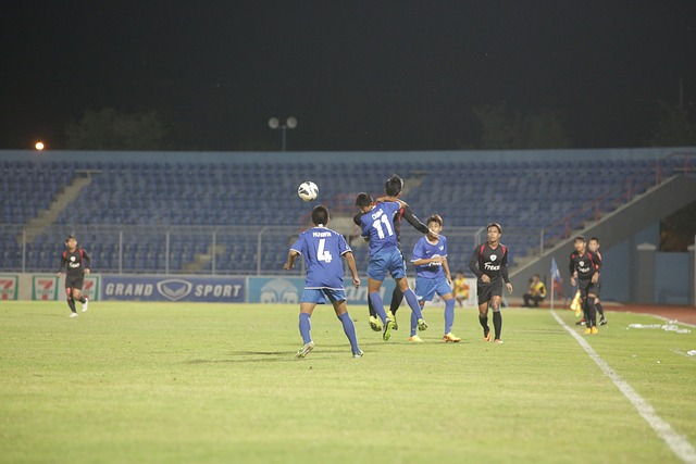 有弗拉霍维 有弗拉霍维