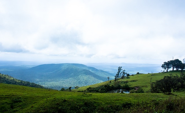 易建联在本 易建联在本