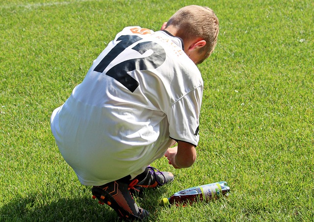 在场上的新 在场上的新